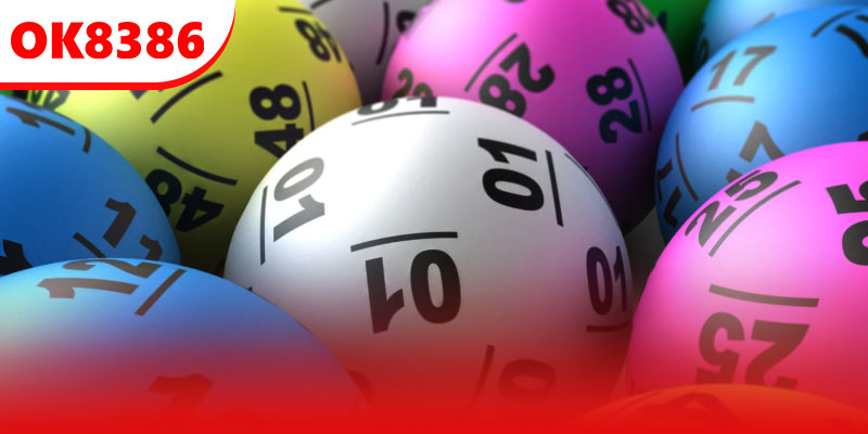 Tổng hợp cách nuôi lô khung 3 ngày siêu hấp dẫn